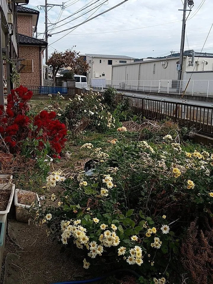 草刈りの御依頼感謝致します。